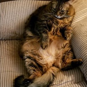 Meet your Posher, Patti